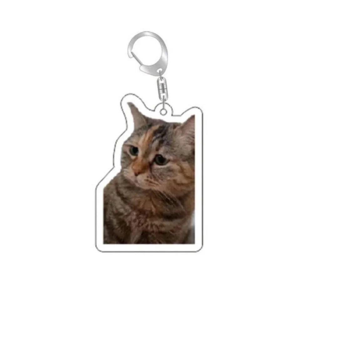 Meme Keychain Huh Cat Keychain Fanny Cat Keyring Talking Cats Confused Cat Pandant Cute Gift